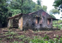 Martinique vielle maison abandonnée